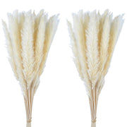 Dried Pampas Grass Arrangements