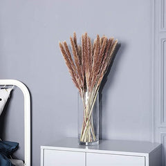 Dried Pampas Grass Arrangements