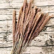 Dried Pampas Grass Arrangements