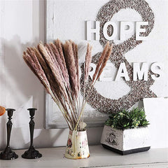 Dried Pampas Grass Arrangements