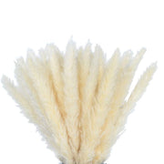 Dried Pampas Grass Arrangements