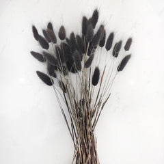 Dried Pampas Grass Arrangements