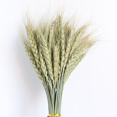 Dried Pampas Grass Arrangements