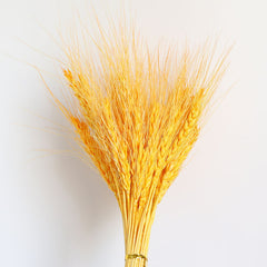 Dried Pampas Grass Arrangements