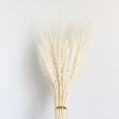 Dried Pampas Grass Arrangements