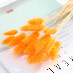 Dried Pampas Grass Arrangements