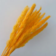 Dried Pampas Grass Arrangements